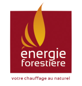 Logo de énergie forestière